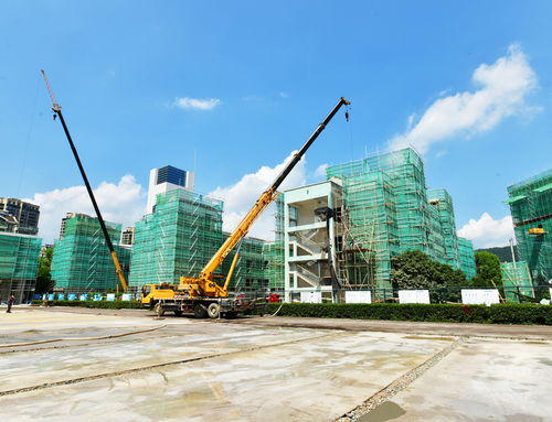 明珠小學(xué)改擴(kuò)建工程有序推進(jìn)，景觀工程為校園增添新氣象