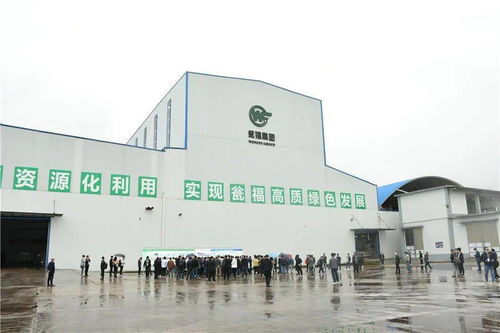 石膏新紀元 走進優(yōu)質石膏工廠，見證機械化施工的力量